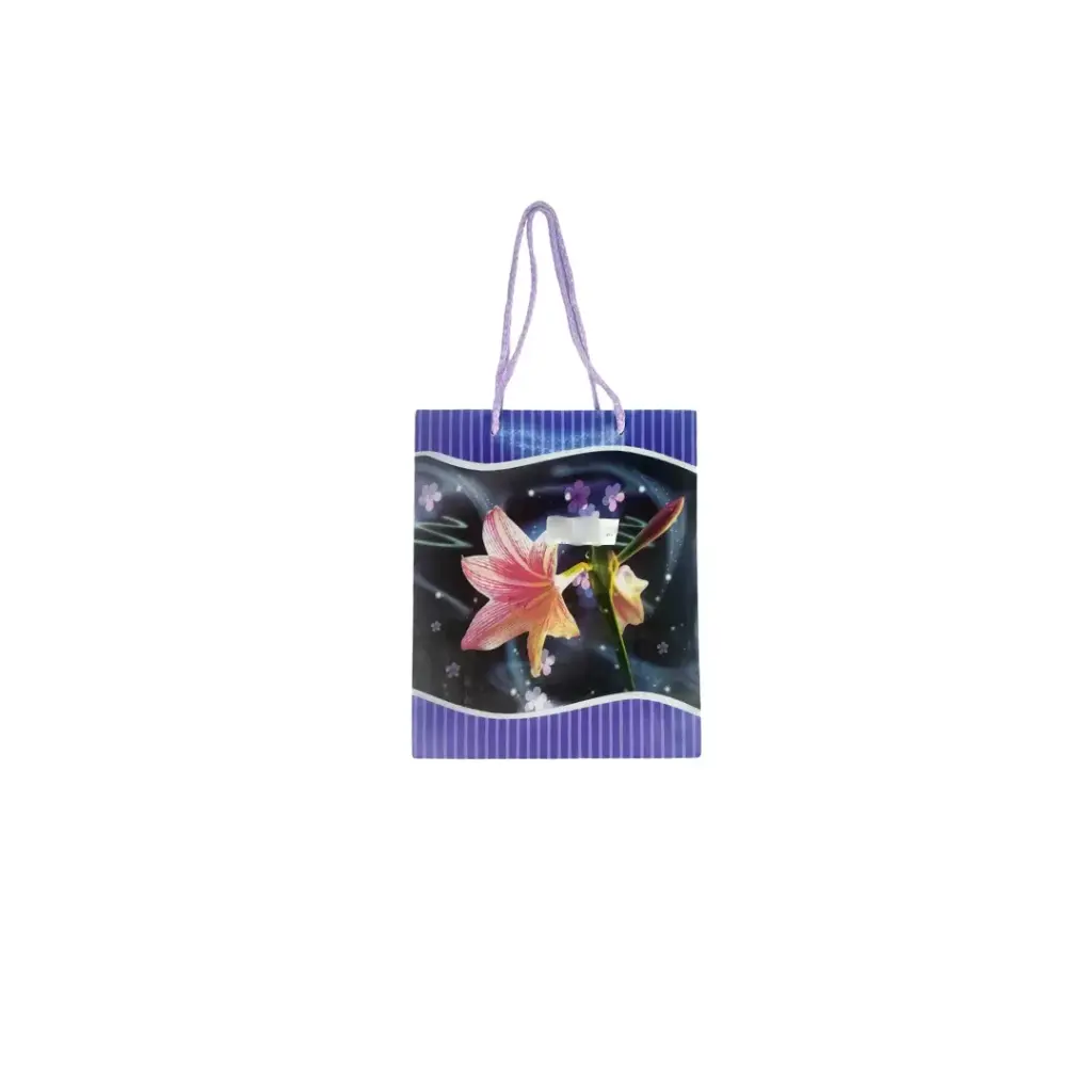 Gift Bag