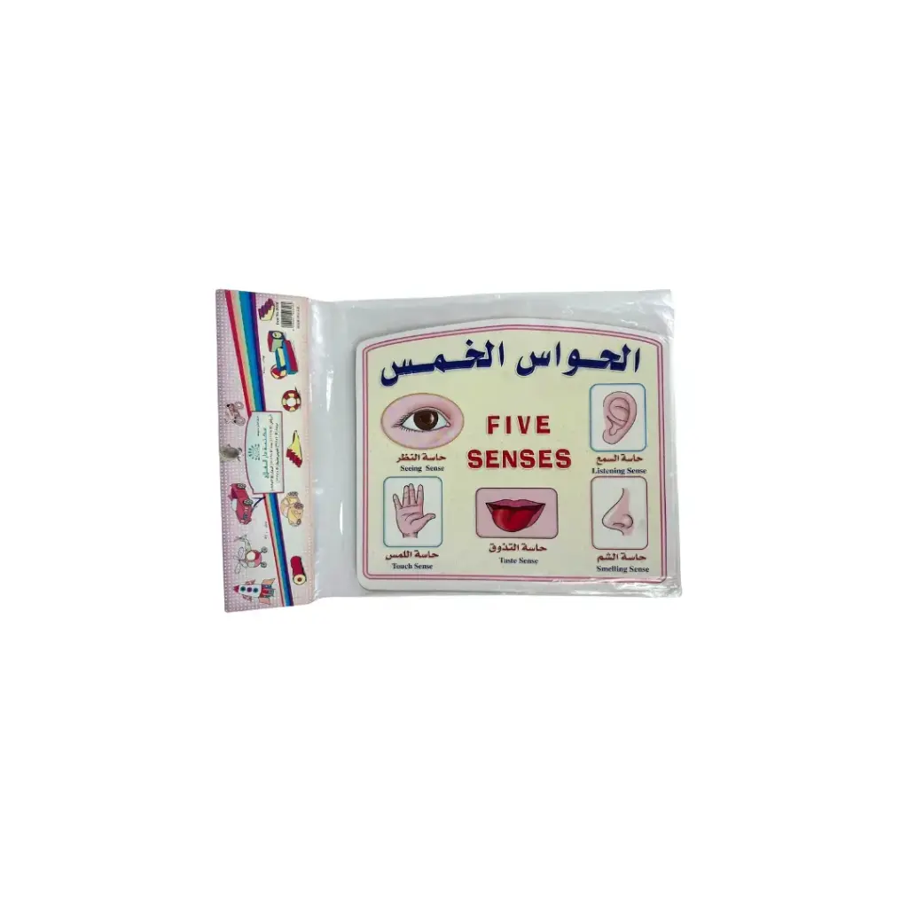 سجادة حائط من الورق المقوى بخمسة حواس