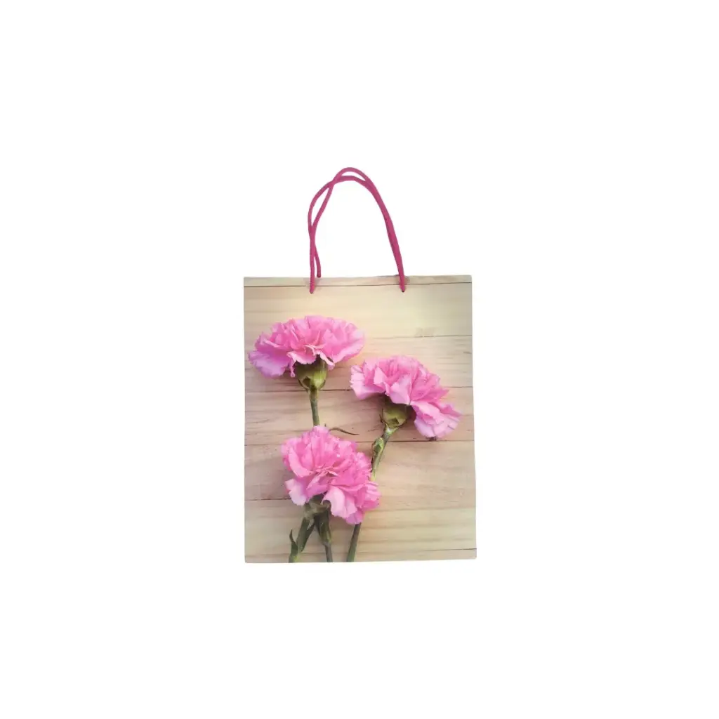 Gift Bag Size 26x32x10 cm