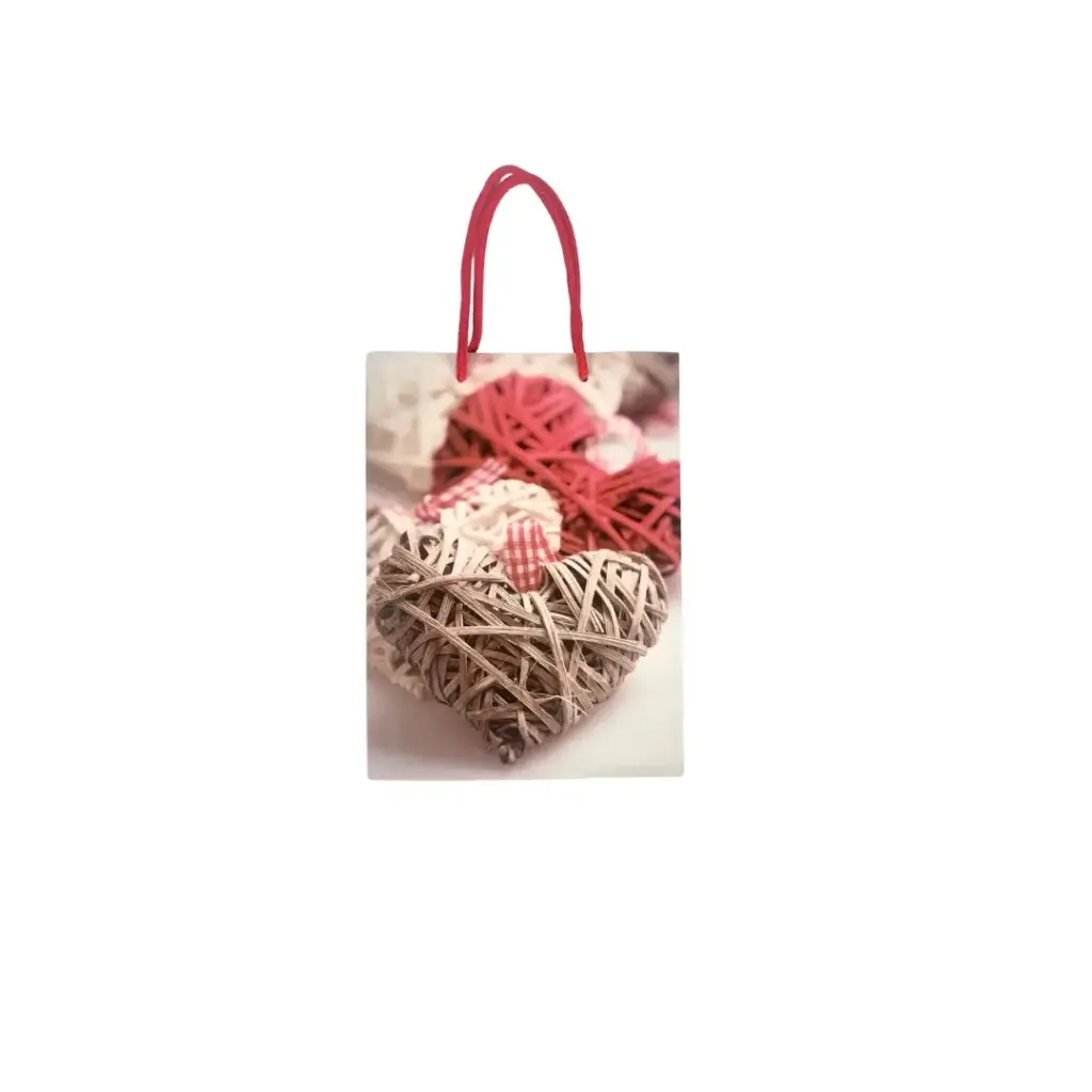 Gift bag Medium 18x24x8.5cm