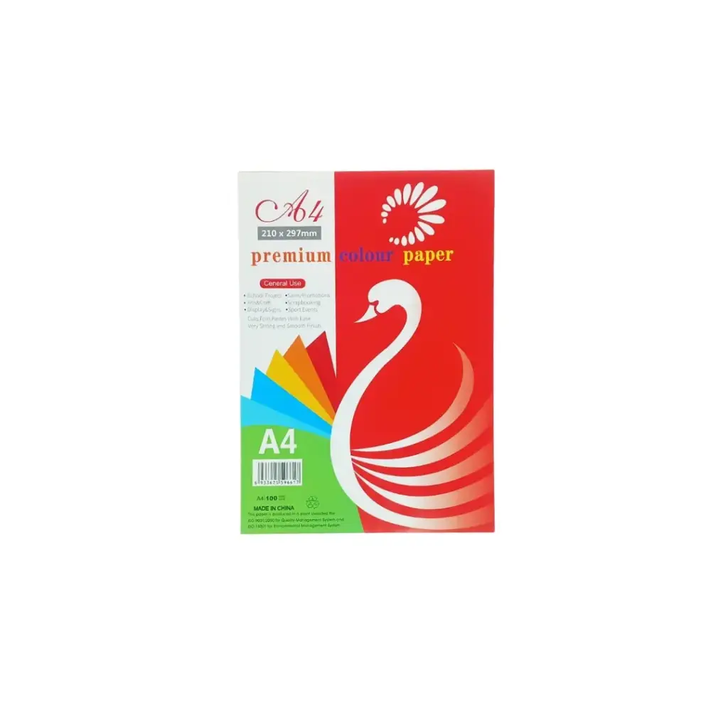 Premium Color Paper A4 10 Colors 100 sheet 80GSM 