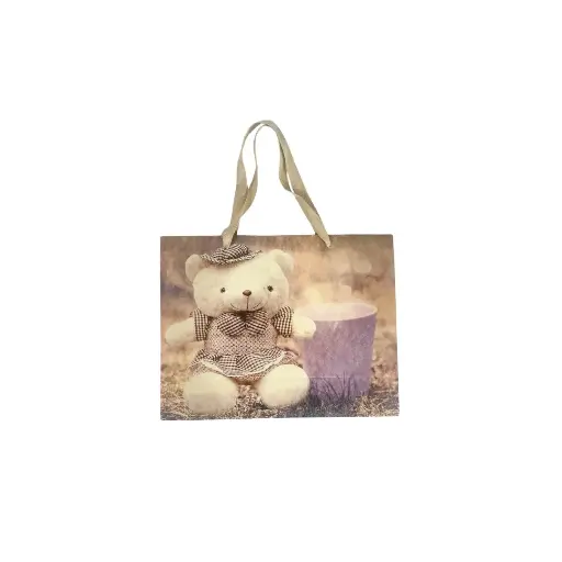 Gift Bag Landscape A4
