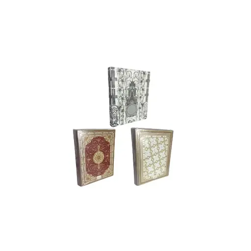 File Folder A4 2-hole ring binder