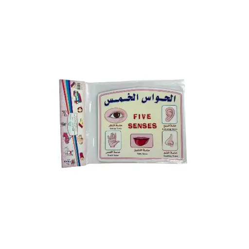 سجادة حائط من الورق المقوى بخمسة حواس