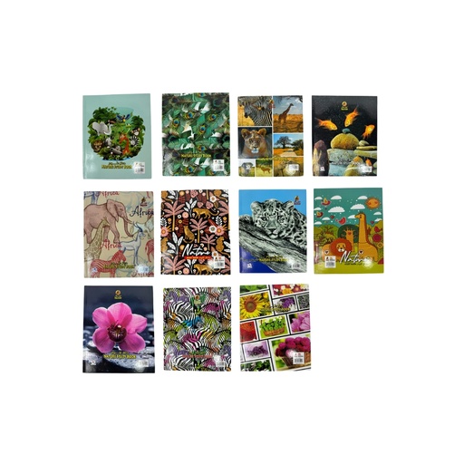 دراسة الطبيعة فالكون H/C 100SH S10X8