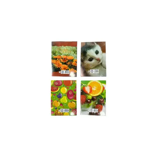 Sadaf Notebook,4Line,40Sh,PVC soft